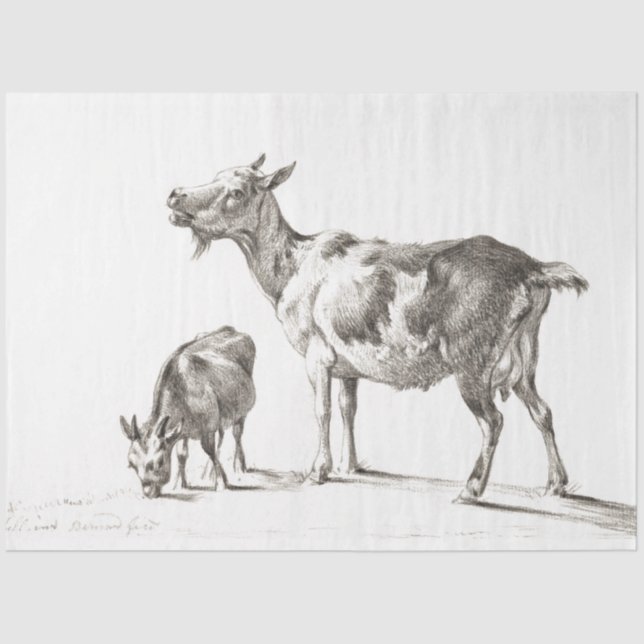 Papel De Seda Goats Ephemera Decoupage Fazenda (Frente )