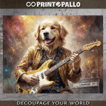 Golden Retriever louco tocando guitarra em concert