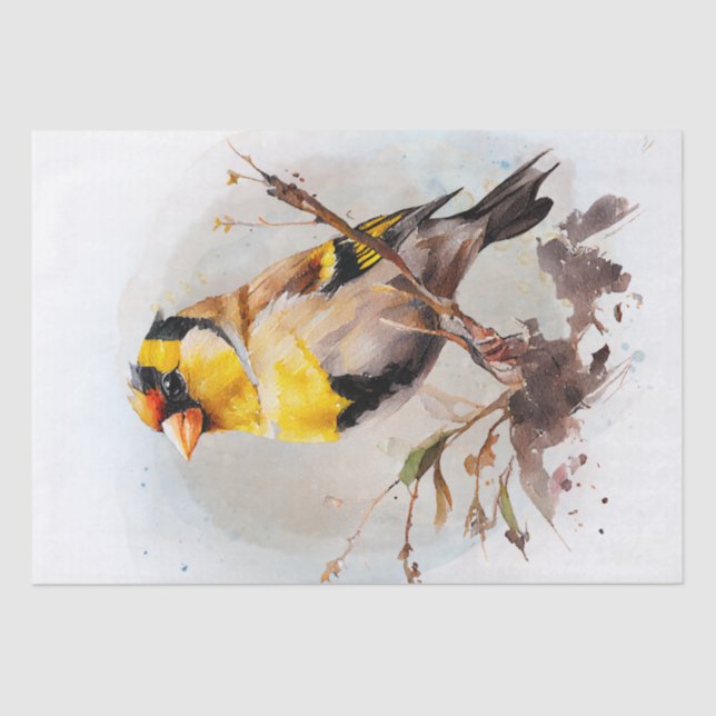 Papel De Seda Goldfinch Bird Watercolor (Frente )
