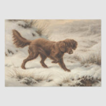 Gordon Setter Dog em uma paisagem de inverno de ne