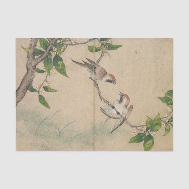 Papel De Seda Gossiping Sparrows por Zhang Ruoai (Frente )