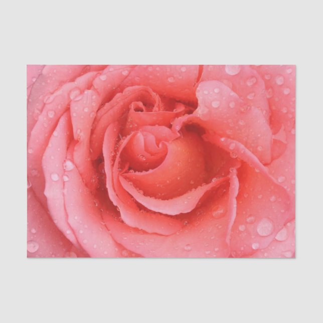 Papel De Seda Gotas de Água de Rosa Vermelha Romântica (Frente )