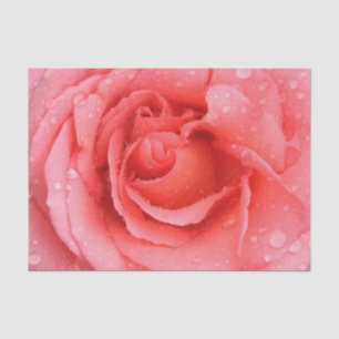 Papel De Seda Gotas Românticas de Água Rosa Rosa Rosa Vermelha