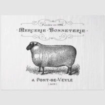 Gráfico Vintage French Sheep