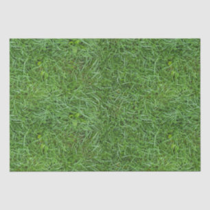 Papel De Seda Grama Verde