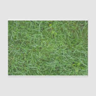 Papel De Seda Grama Verde