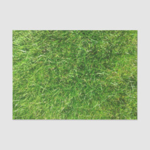 Papel De Seda Gramado do verão
