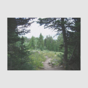 Papel De Seda Grand Teton Trail