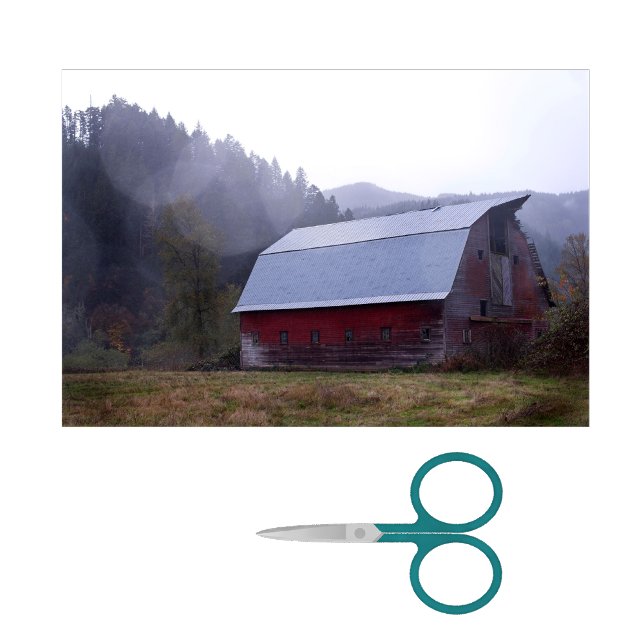 Papel De Seda Grande Casca Vermelha-Couve com Floresta Mistura (Criador carregado)