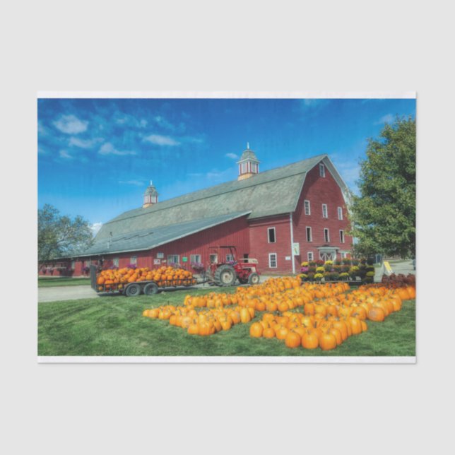 Papel De Seda Grande Red Vermont Barn Com Pumpkins (Frente )