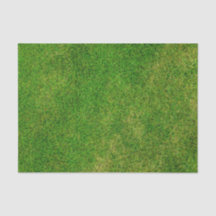 Grass Lawn