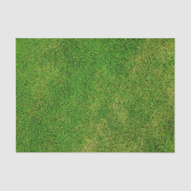 Papel De Seda Grass Lawn (Frente )