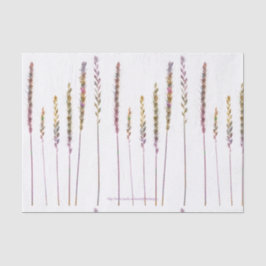 Papel De Seda Graus Coloridos