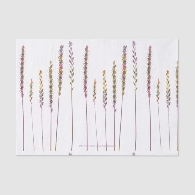 Papel De Seda Graus Coloridos (Frente )