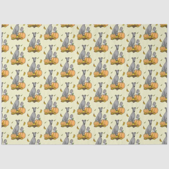 Papel De Seda Greyhound (cinza) Cachorros Pumpkins Deixa Engraça (Frente )