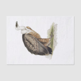 Papel De Seda Griffon Vulture Decoupage