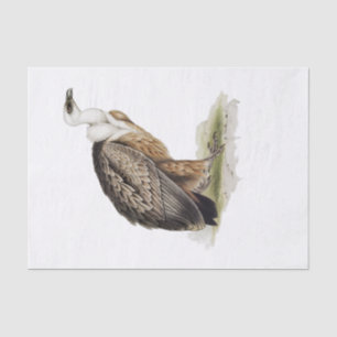 Papel De Seda Griffon Vulture Decoupage