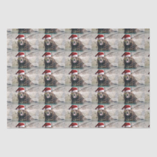 Papel De Seda Grizzly Bear Santa Claus