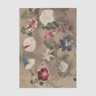 Papel De Seda Group of Morning Glories by Ogawa Kazumasa