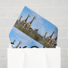 Papel De Seda Growing Tall Safari Harmony