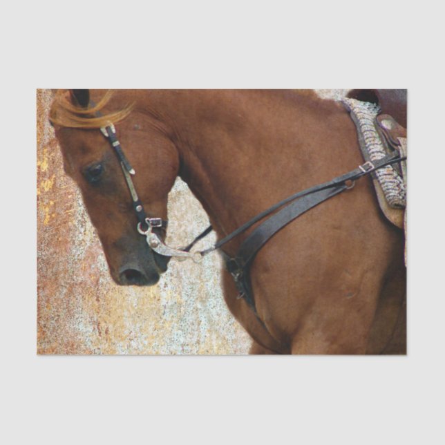 Papel De Seda Grunge ocidental do cavalo da azeda (Frente )