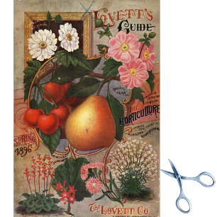 Papel De Seda Guia de Lovett do Catálogo de Sementes da Vintage