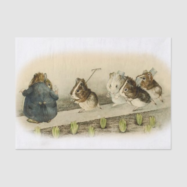 Papel De Seda "Guiné Pig Garden" por Beatrix Potter (Frente )