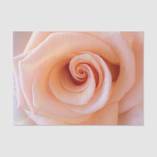 Papel De Seda HAMbyWG - Rosa de Pêssego (Frente )