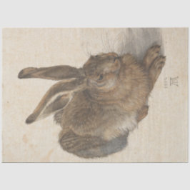 Papel De Seda Hare (por Albrecht Dürer)