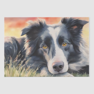 Papel De Seda Harmonia de Crepúsculo: Desacoplamento de Collie d