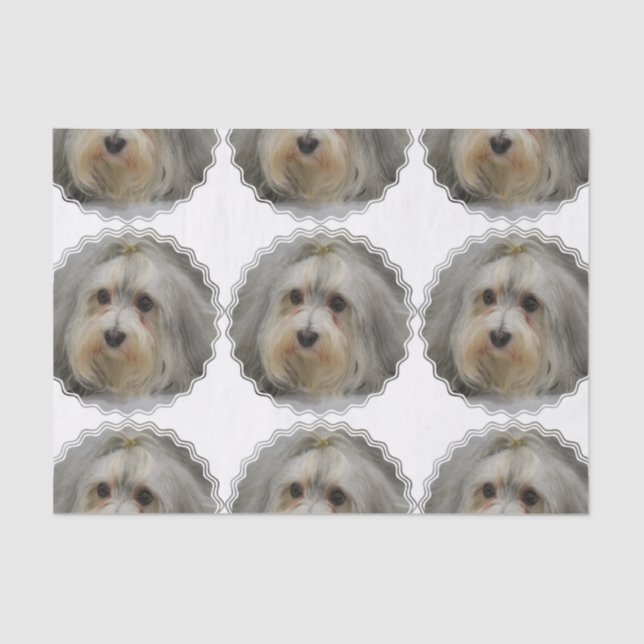 Papel De Seda Havanese (Frente )