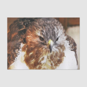PAPEL DE SEDA HAWK