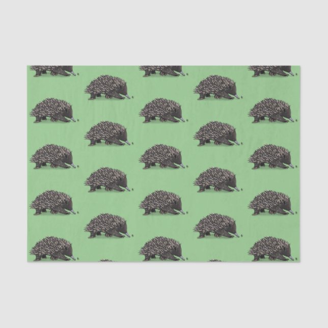 Papel De Seda Hedida bonita com ilustração de desenho animado de (Frente )