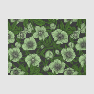 Papel De Seda Hellebores brancos com folhas