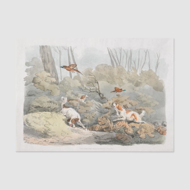 Papel De Seda Henry Alken | Dogs Chasing Pheasants (Frente )