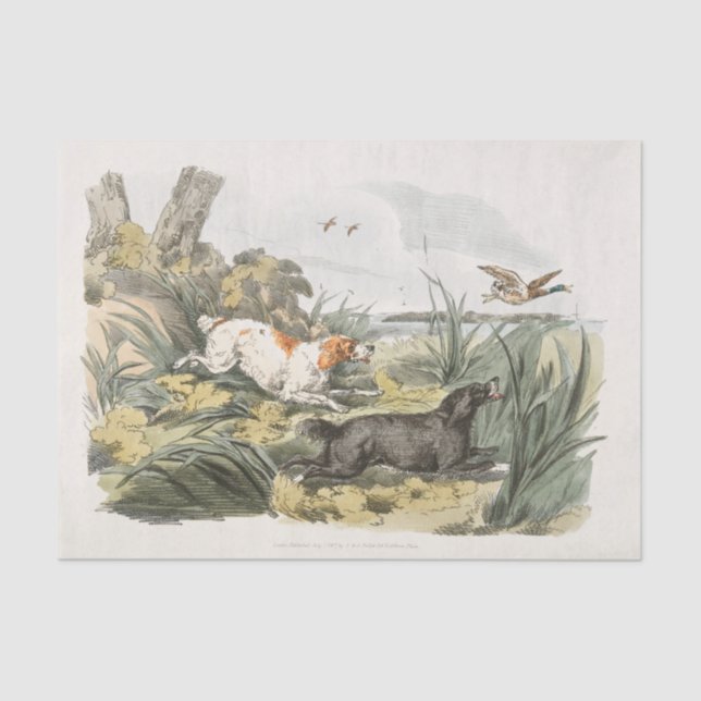 Papel De Seda Henry Alken | Hounds on the Hunt (Frente )