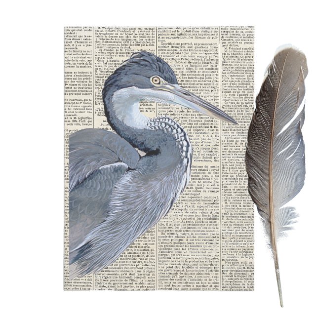 Papel De Seda Heron Bird French Newpaper Decoupage (Criador carregado)