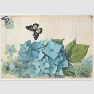 Papel De Seda Hidrangea Epemera de sonho azul