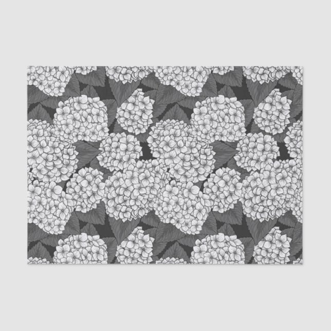 Papel De Seda Hídricas brancas (Frente )