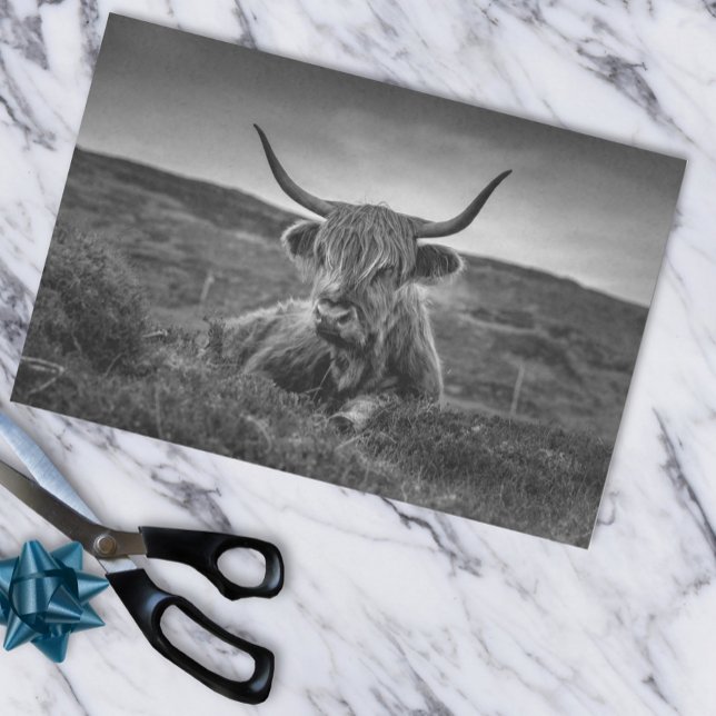 Papel De Seda Highland Cow Scotland Russ Tissue Paper (Criador carregado)