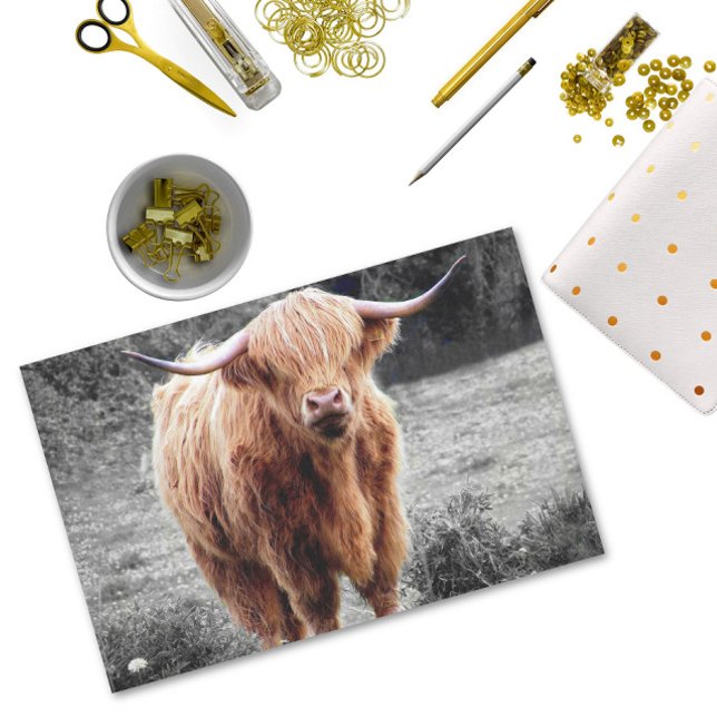 Papel De Seda Highland Cow Scotland Rustic (Criador carregado)