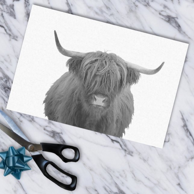 Papel De Seda Highland Cow Scotland Rustic Black White (Criador carregado)