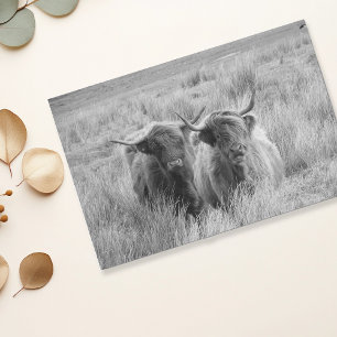 Papel De Seda Highland Cow Scotland - Tecido Branco Russo Negro