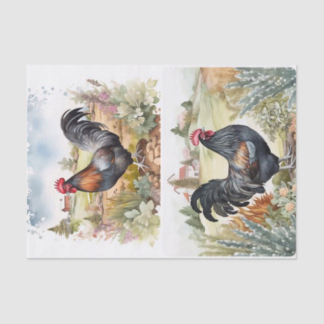 Papel De Seda Hillside Roosters (Frente )