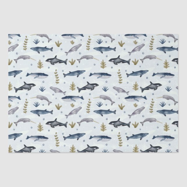 Papel De Seda História da baleia aquosa moderna (Frente )