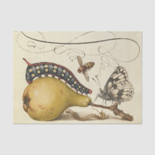 Papel De Seda Hoefnagel Pérola Vintage e Insetos 1500s Renascime