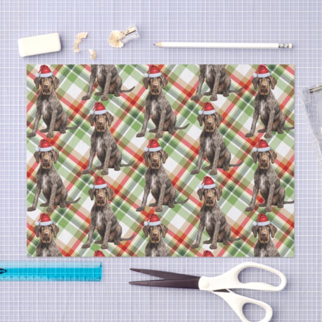 Papel De Seda Holiday Wirehaired Pointer Dog Red Plaid Christmas (Arte )