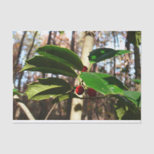 Papel De Seda Holly deixa eu feriado botânico
