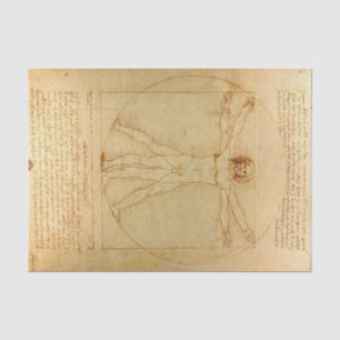 Papel De Seda Homem Vitruviano por Leonardo Da Vinci