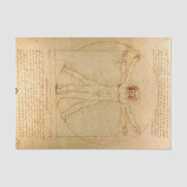 Papel De Seda Homem Vitruviano por Leonardo Da Vinci (Frente )